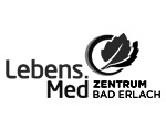 bad_erlach_logo_hannes_eichinger